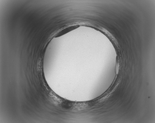 X0000082201001200702170013