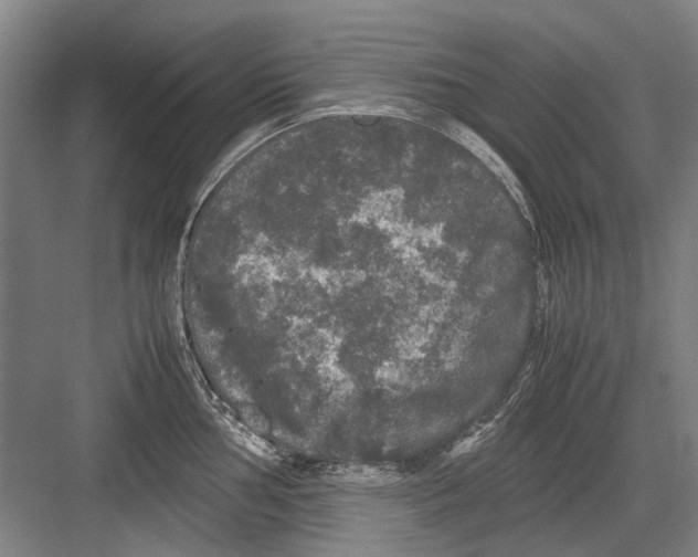 X0000082201002200702170013