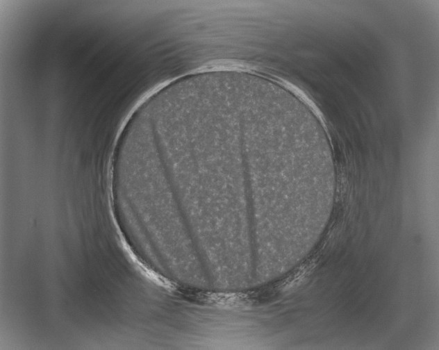 X0000082201003200702170013