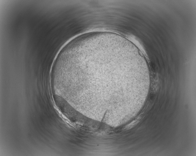 X0000082201004200702170013