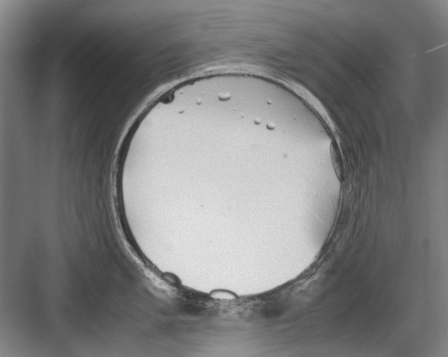 X0000082201005200702170013