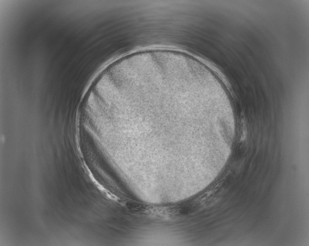 X0000082201006200702170013