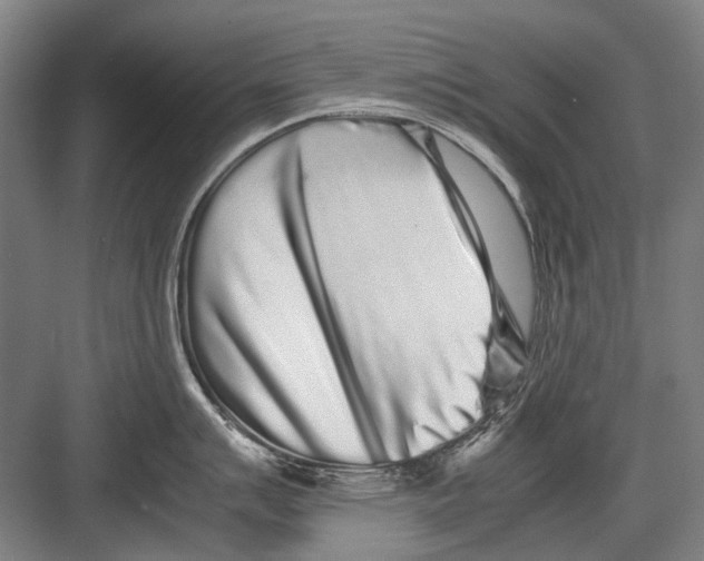 X0000082201007200702170013