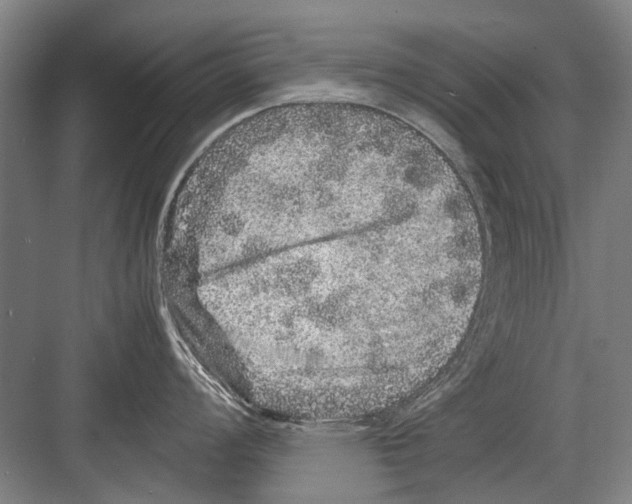 X0000082201008200702170013