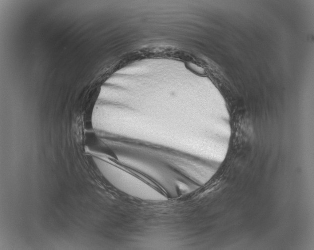 X0000082201014200702170012