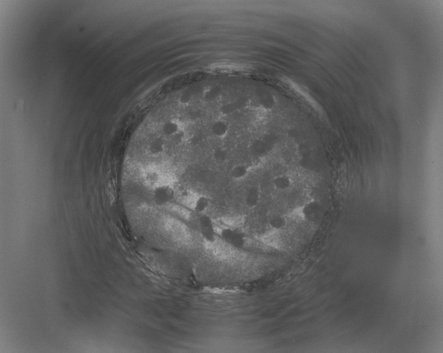 X0000082201015200702170013