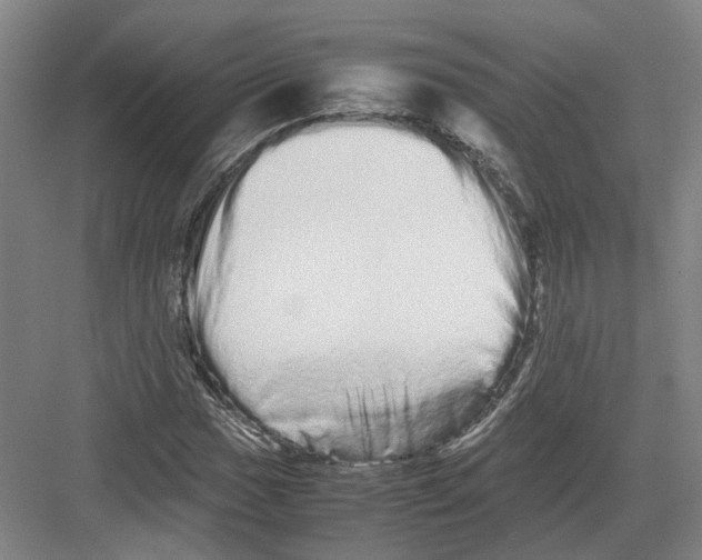 X0000082201017200702170013