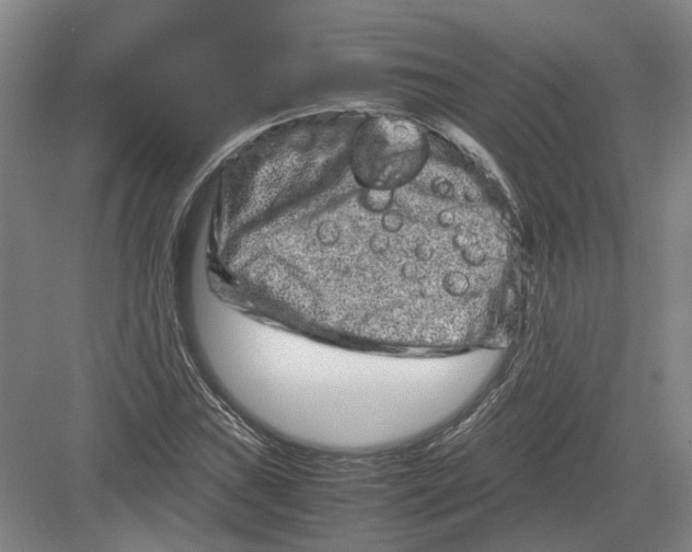 X0000082201019200702170013