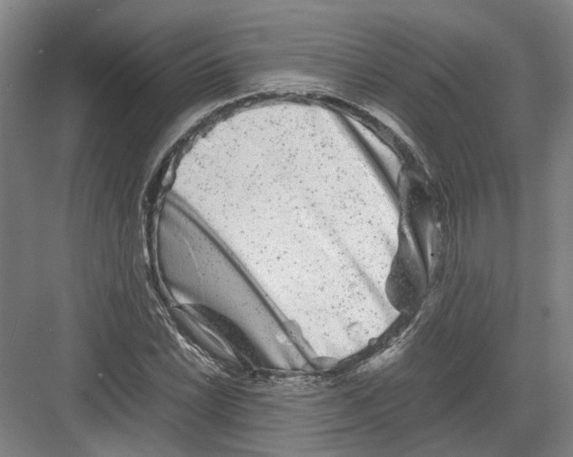 X0000082201022200702170013