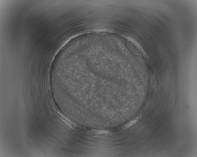 X0000082201023200702170013