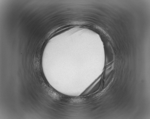 X0000082201025200702170013