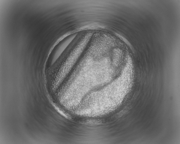 X0000082201026200702170013