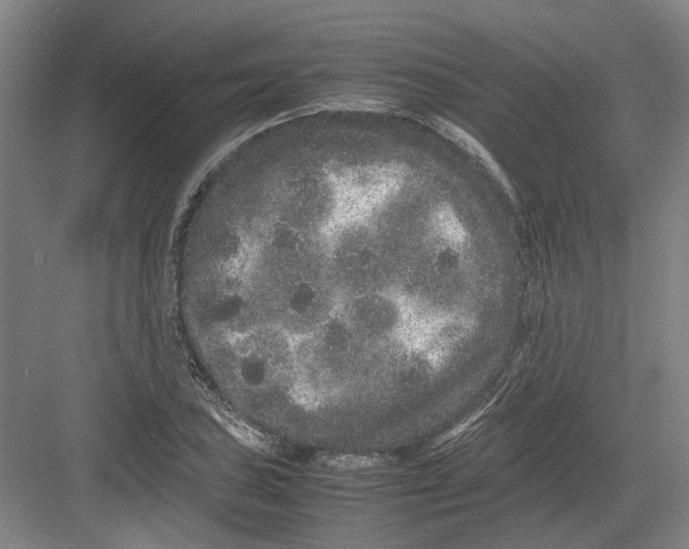 X0000082201027200702170013