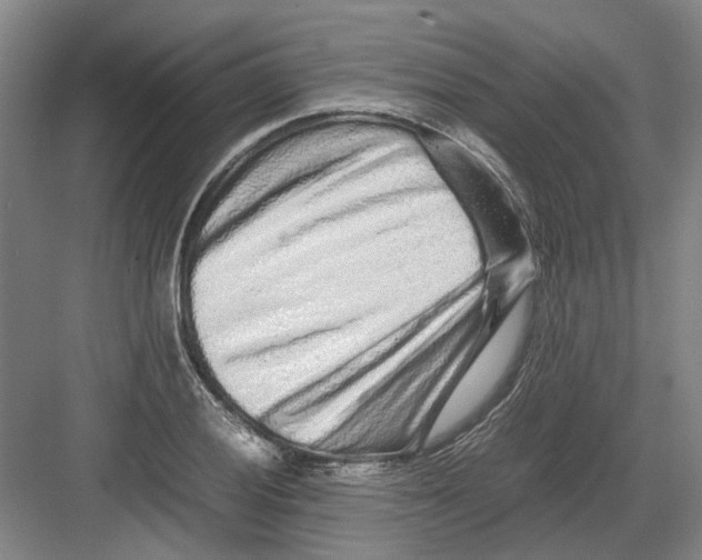 X0000082201028200702170013