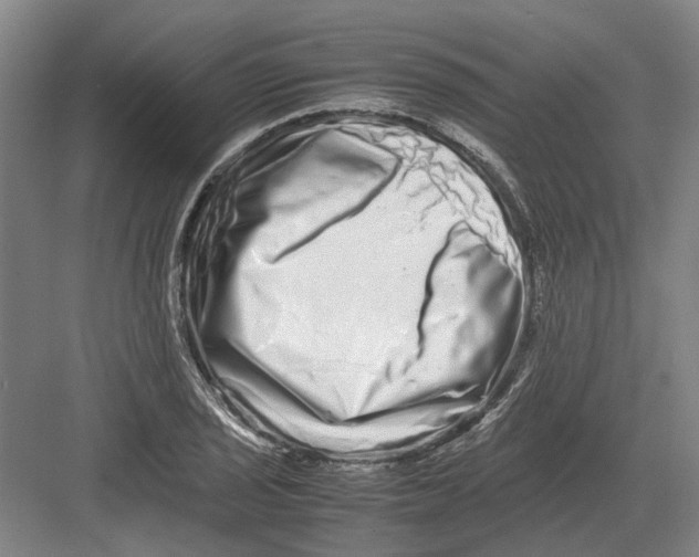 X0000082201029200702170013