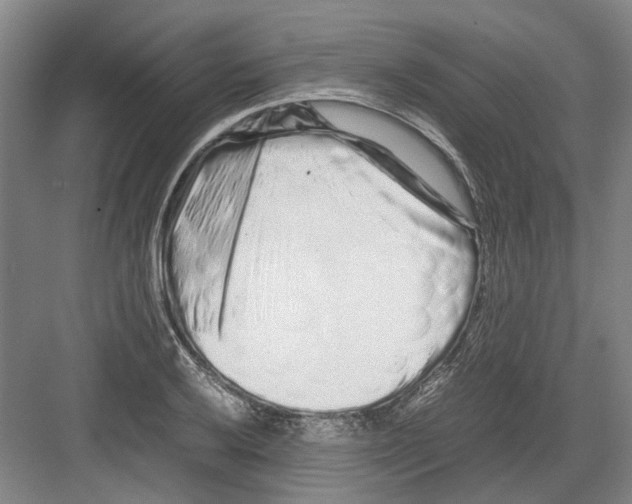 X0000082201032200702170013