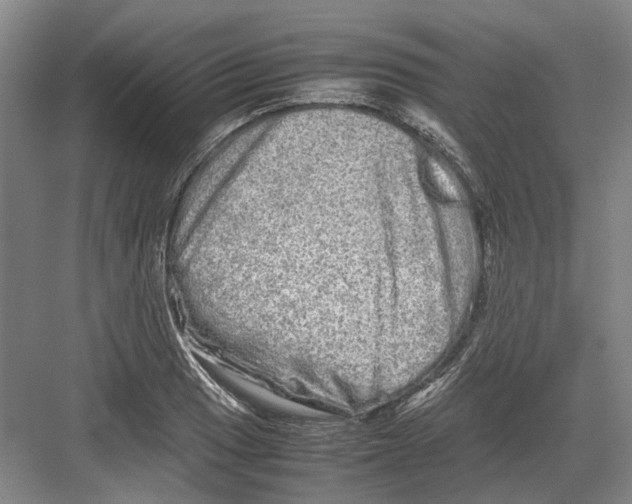 X0000082201033200702170013