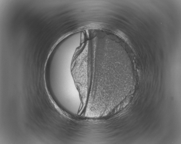 X0000082201034200702170013