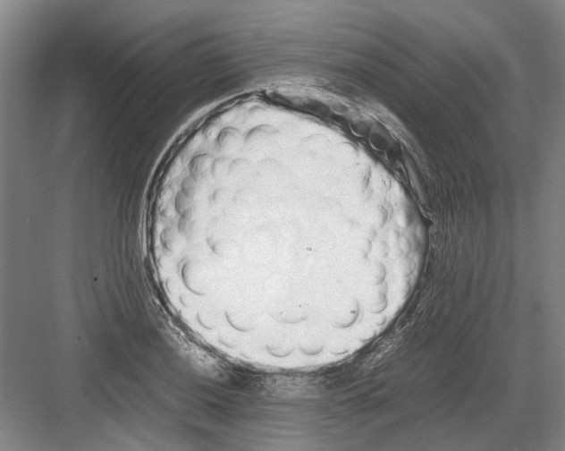 X0000082201036200702170013