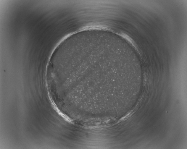 X0000082201038200702170013