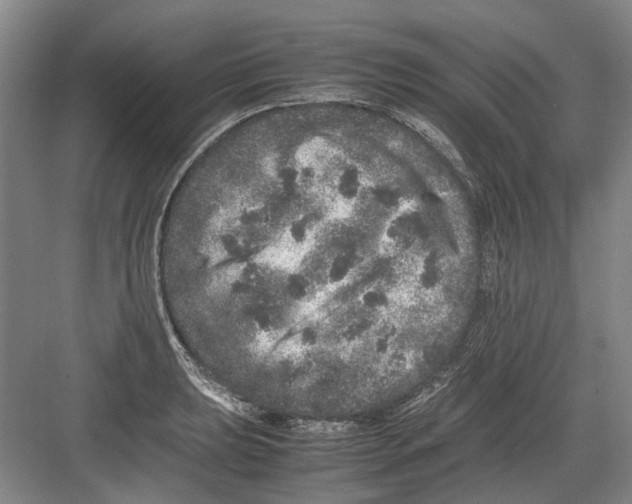 X0000082201039200702170013