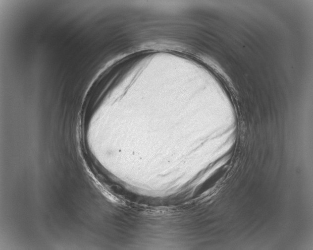 X0000082201040200702170013