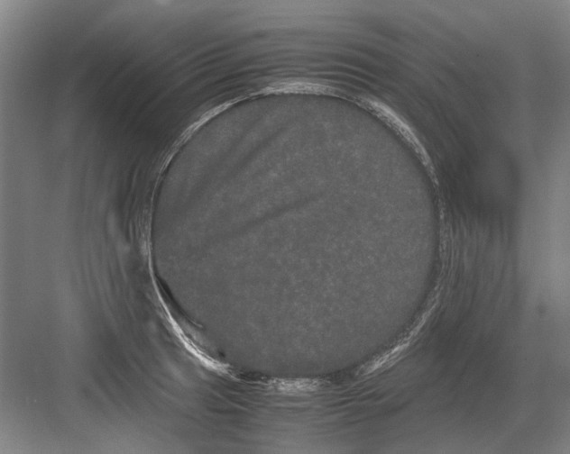 X0000082201041200702170013