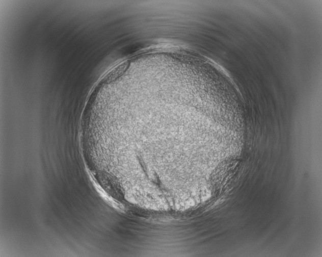 X0000082201042200702170013