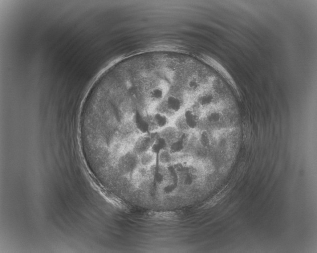 X0000082201043200702170013