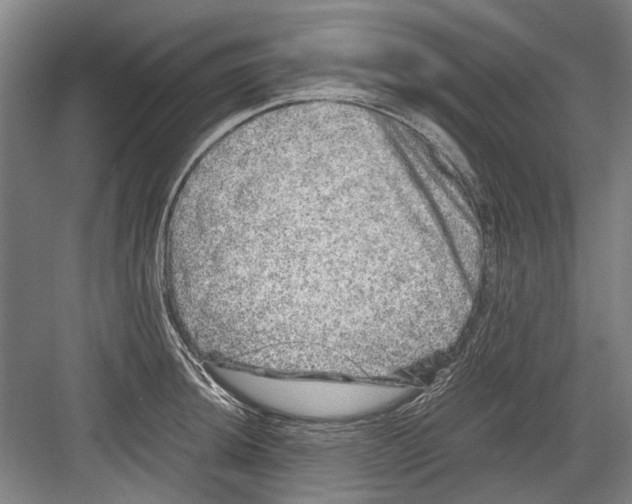 X0000082201044200702170013