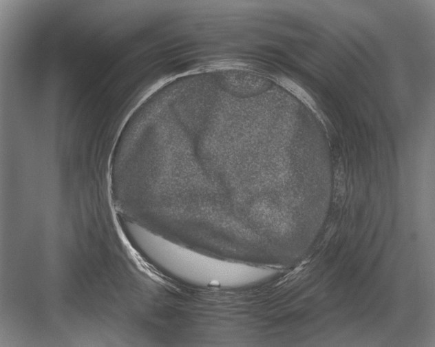 X0000082201047200702170013