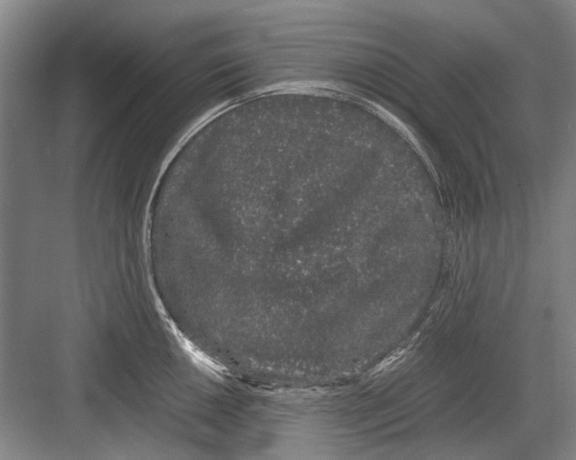 X0000082201050200702170013