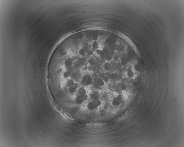 X0000082201051200702170013