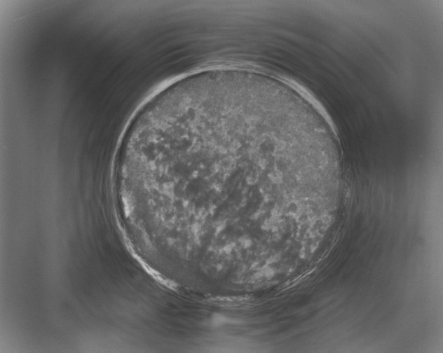 X0000082201053200702170013