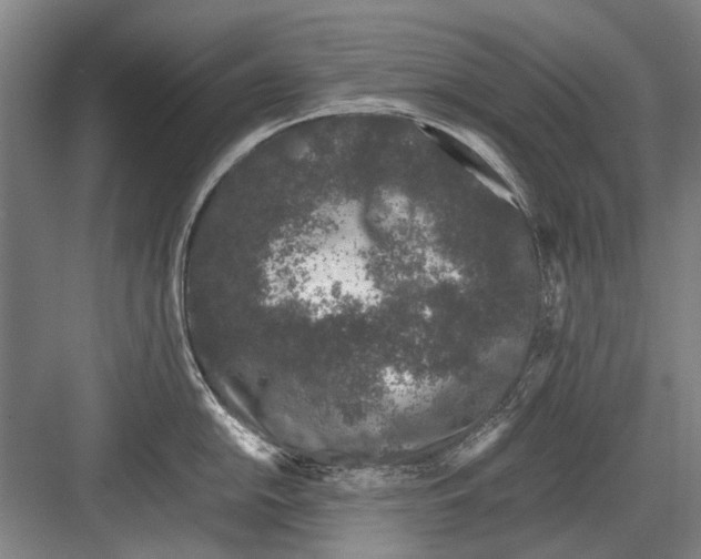 X0000082201054200702170013