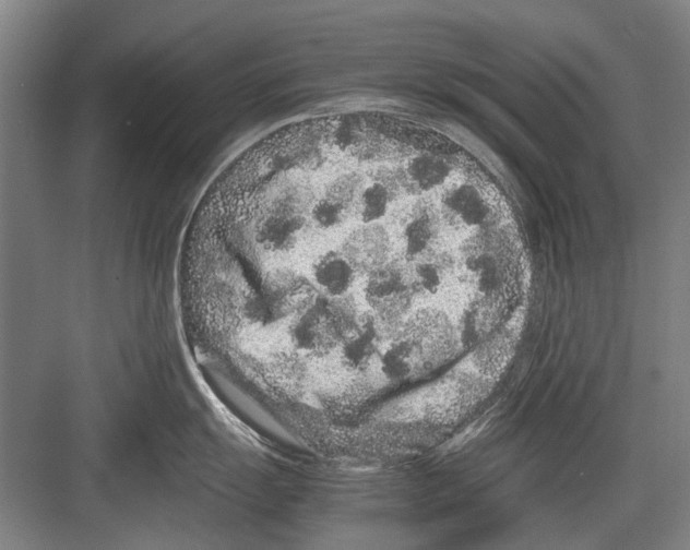 X0000082201055200702170013