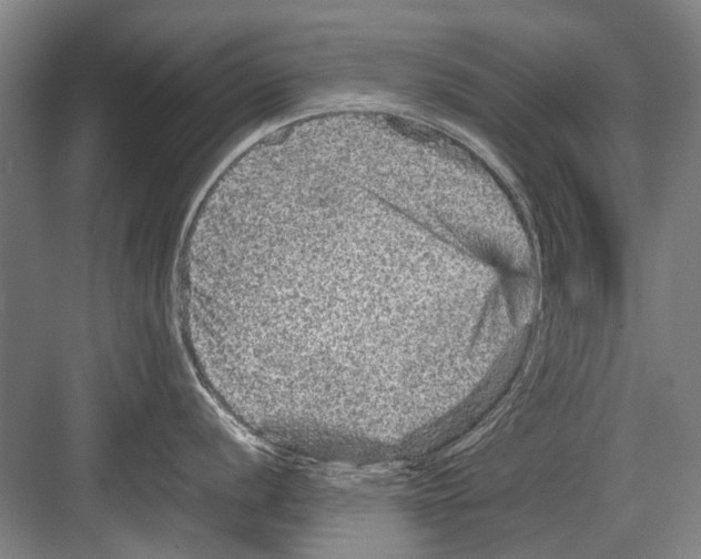 X0000082201056200702170013