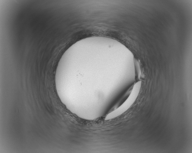 X0000082201057200702170012