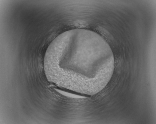 X0000082201058200702170012