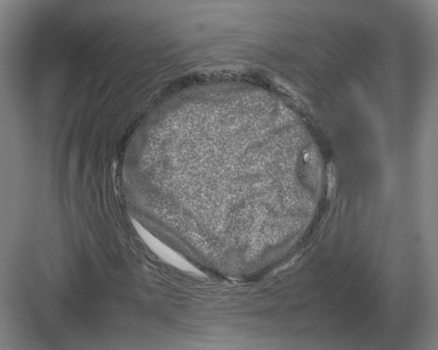 X0000082201059200702170012