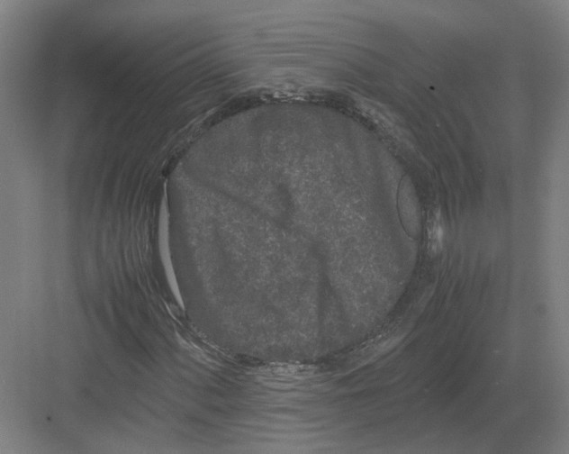 X0000082201060200702170012