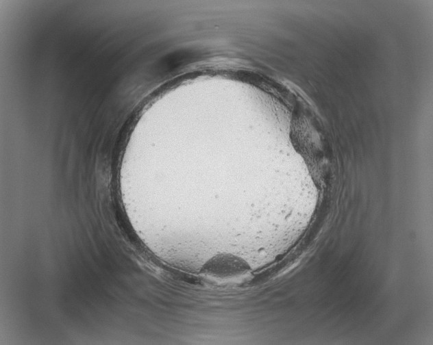 X0000082201065200702170012