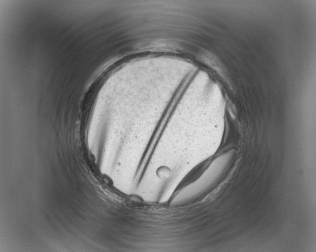 X0000082201066200702170012