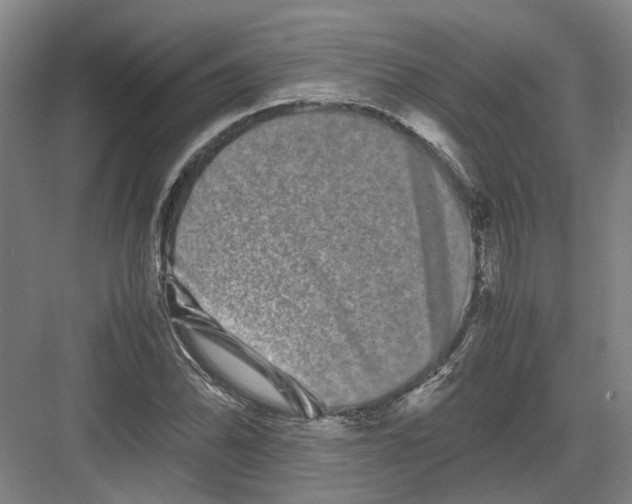 X0000082201070200702170012