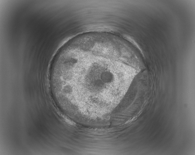 X0000082201071200702170012