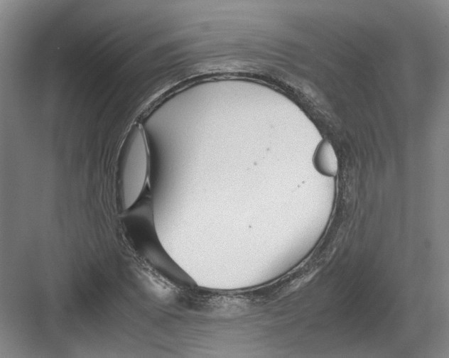 X0000082201073200702170012