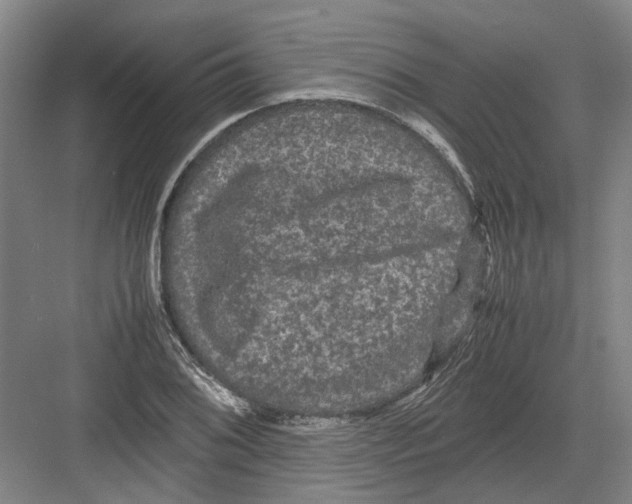 X0000082201076200702170012