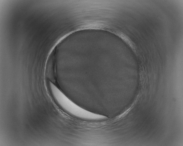 X0000082201077200702170012