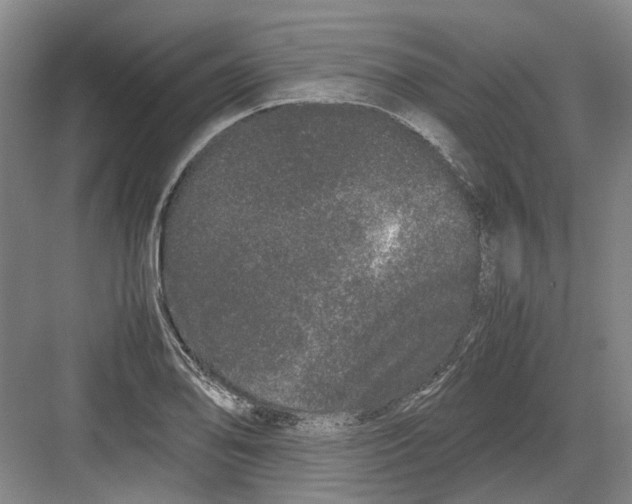 X0000082201078200702170012