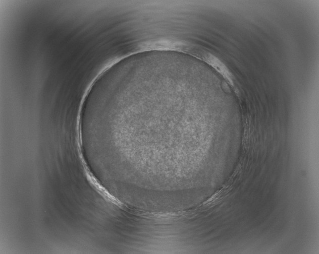 X0000082201080200702170012